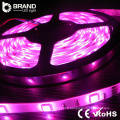 Rgb chaud wihte cool blanc ce rohs prix bon marché Chine fournisseur dmx led strip